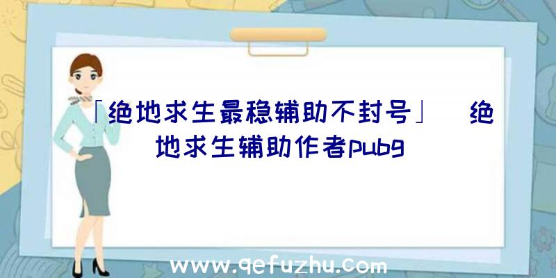 「绝地求生最稳辅助不封号」|绝地求生辅助作者pubg